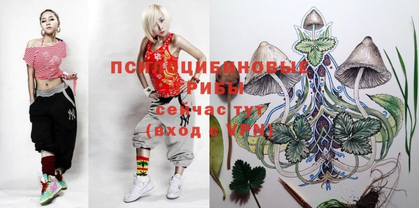 не бодяженный Верхний Тагил