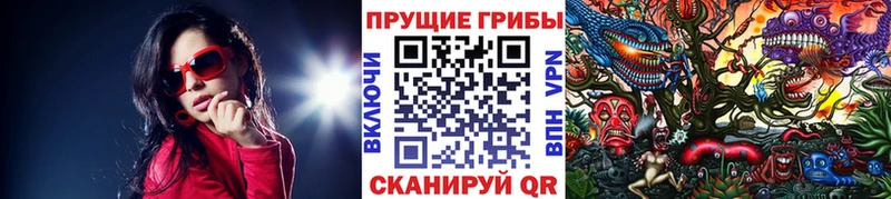 Псилоцибиновые грибы мухоморы  продажа наркотиков  Орск 